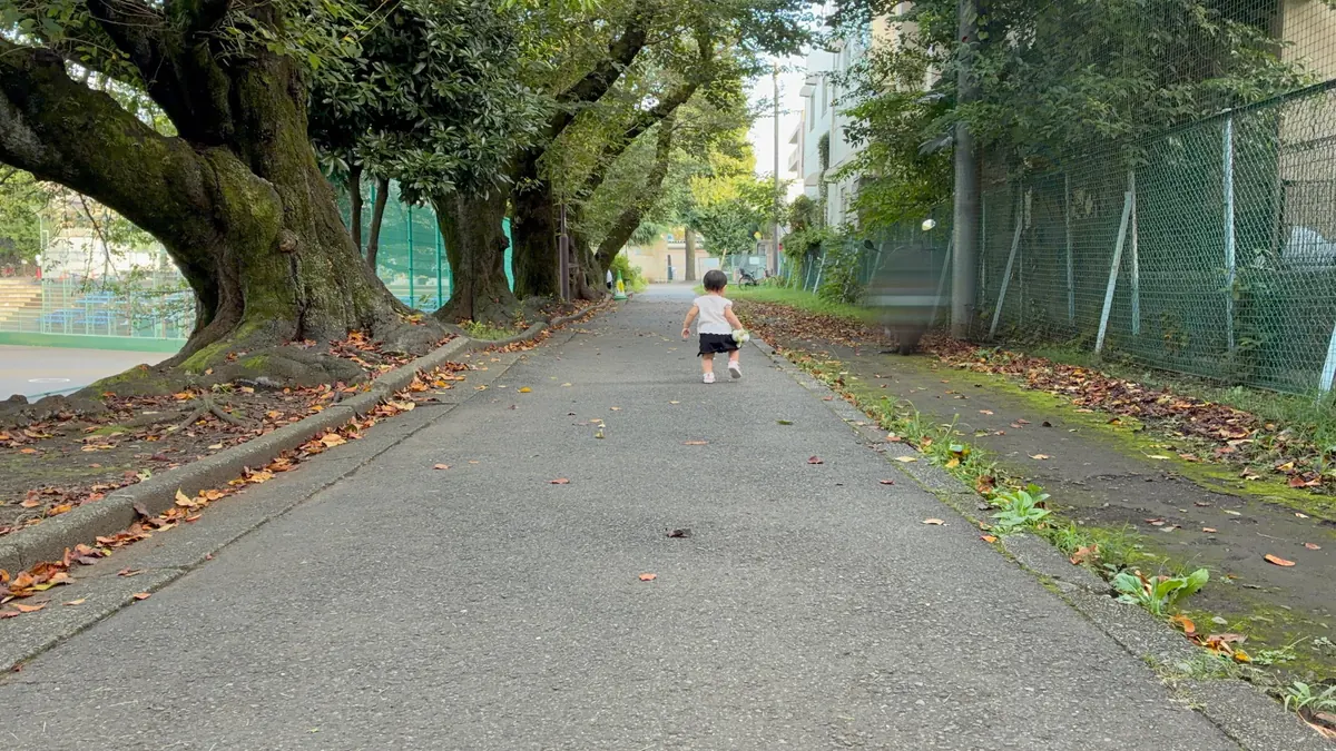 並木道を散歩する1歳の娘の後ろ姿